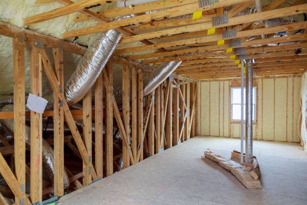 Best Insulation for New Construction  in Johnson Lane, NV