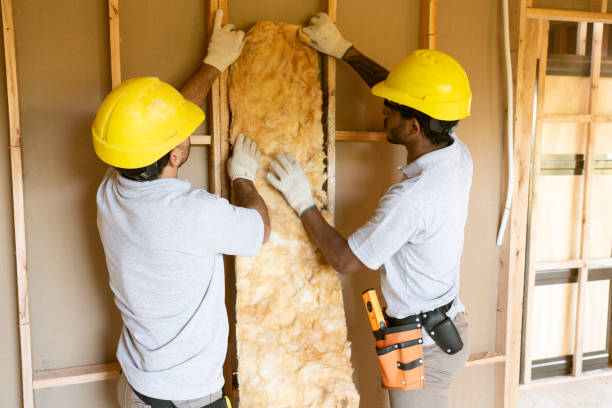 Johnson Lane, NV Insulation Contractor Company